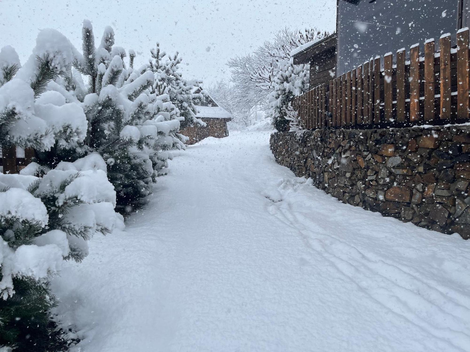 Hirska Vatra Villa Slavske Exteriör bild